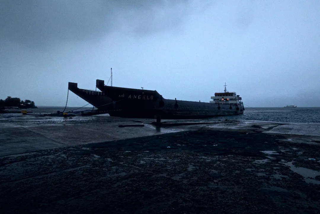 Контейнеровоз MSC тонет в Чжоушане: два тайфуна сорвали спасательную операцию